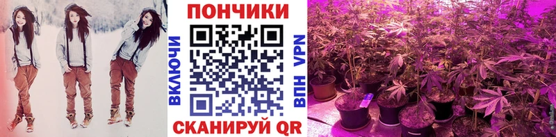 Наркошоп Кудрово Каннабис  COCAIN  Alpha-PVP  ГАШИШ 