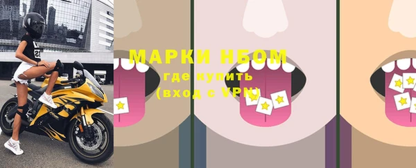стафф Алексин
